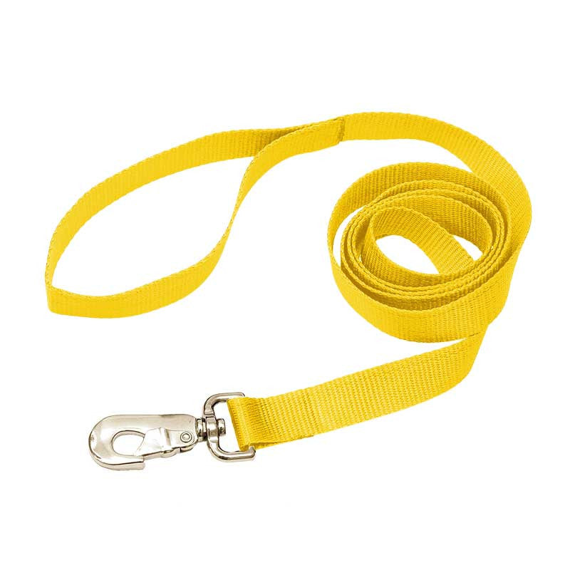Nylon Leash, - Lucky Pet